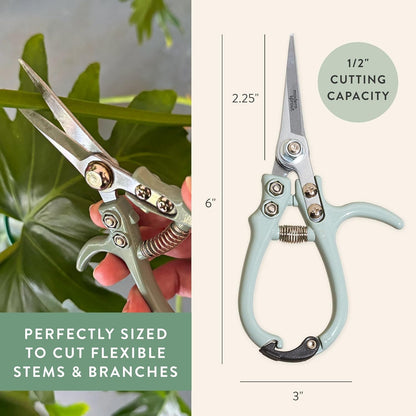 Modern Sprout Pruning Shears - Garden Snips - Herb Scissors - Sage 1-Pack