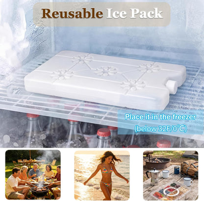 Chilled Snackle Box Container with Ice Pack, Divided Serving Tray with Lid & Handle Portable Snack Tackle Box Container with Insulated Bag 8 Compartment Clear Snacklebox for Beach Road Trip Picnic