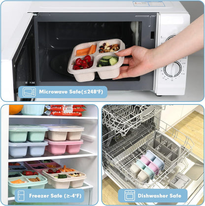 8 Pack Snack Box Container, 4 Compartments Bento Snack Containers for Organized Meal Prep, Reusable Divided Lunch Food Storage Containers for Work, Picnic– Microwave, Dishwasher, Freezer Safe