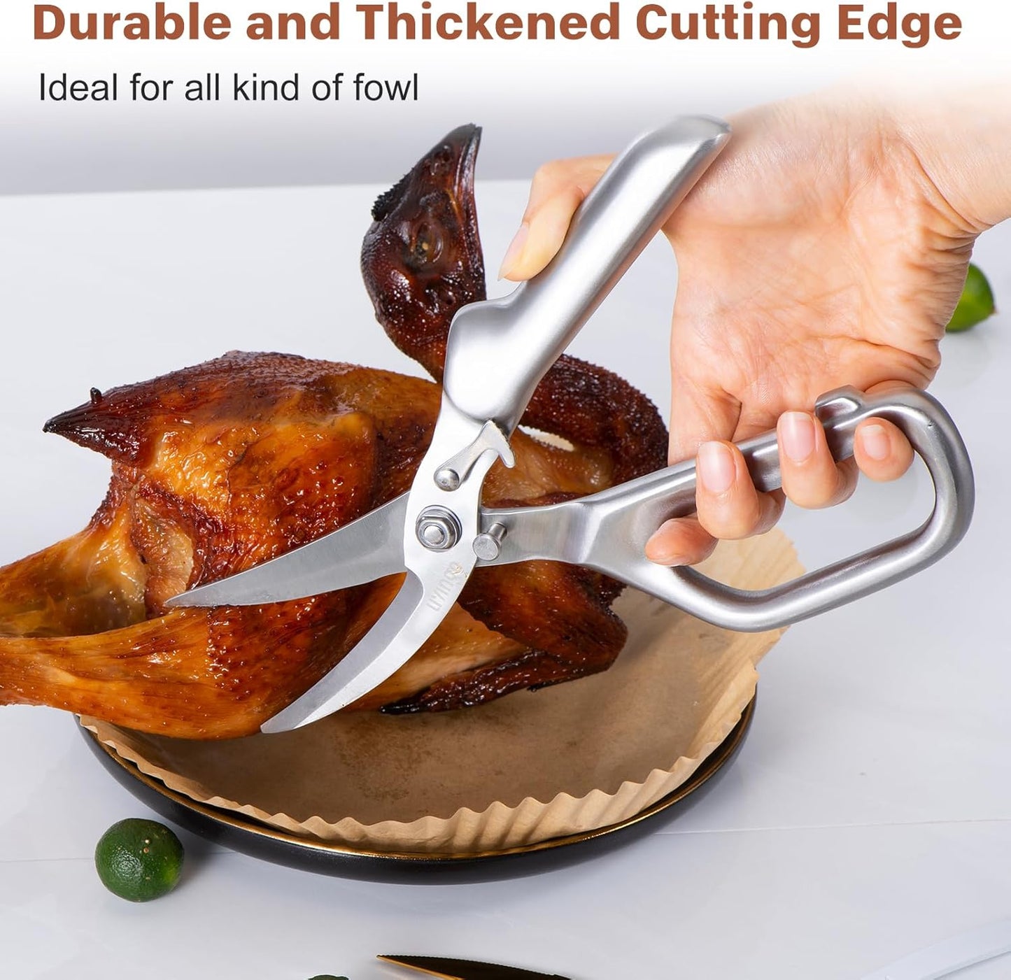 LIVINGO Kitchen Forged Shears Heavy Duty Come Apart Ultra Sharp Multi-function Stainless Steel Scissors Bottle Opener, Nut Cracker 8.5 inch