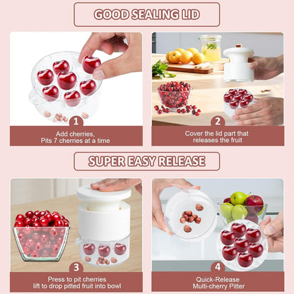 Cherry Pitter Tool,Cherry Pitter Cherry Stone Remover Tool for Making Cherry Jam Cherries Corer Pitter Tool，Cherry Pitter Olive Pitter with Space-Saving Lock Design, Black