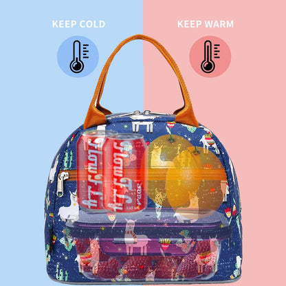 FlowFly Insulated Lunch Cooler Bag - Tote Bag Organizer for Women/Men, Black - Colors A