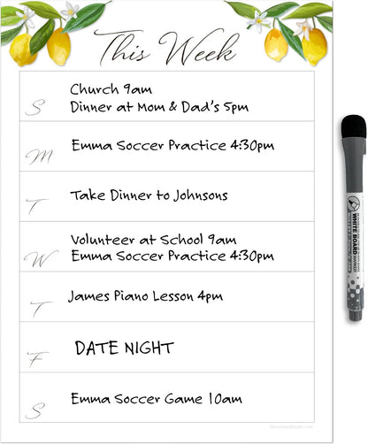 Dry Erase Weekly Calendar Planner Sticker Decal | Removable & Reusable | Magnetic Fine-Tip Marker Included (6 x 9 inches, White)