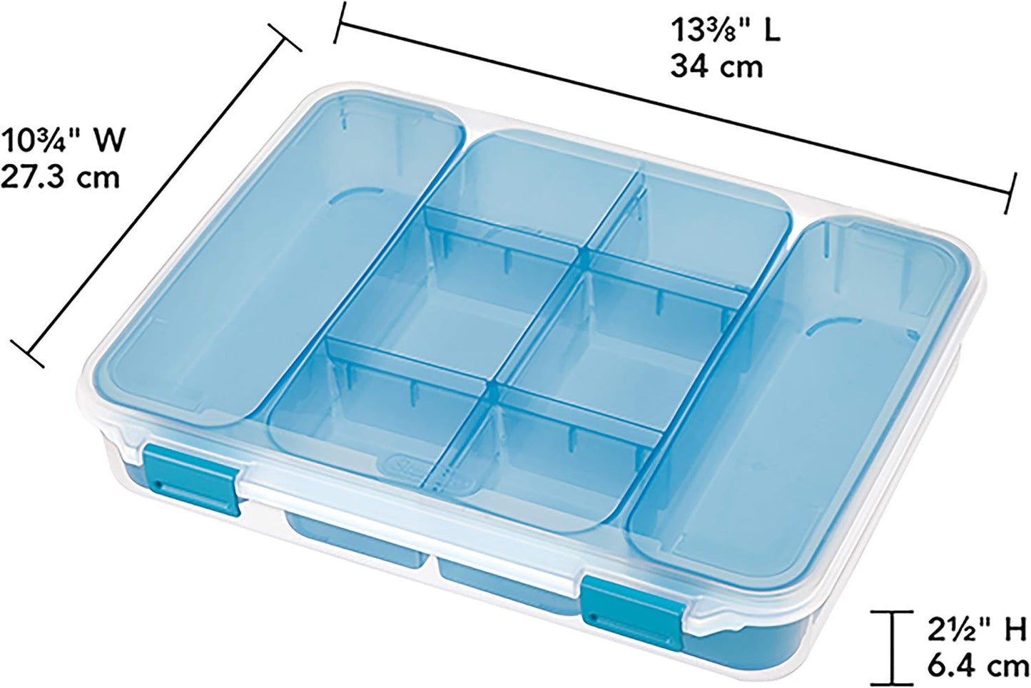 STERILITE Divided Case, Multicolor