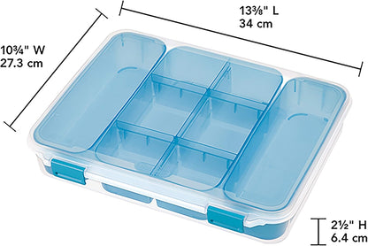 STERILITE Divided Case, Multicolor