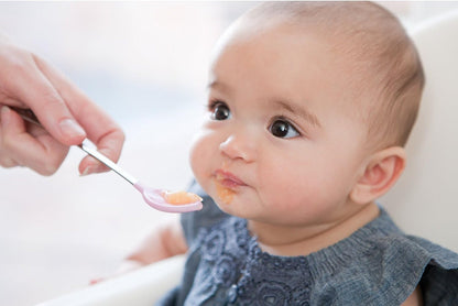 Infantino Squeeze Station for Homemade Baby Food, Pouch Filling Station for Puree Food for Babies and Toddlers, Dishwasher Safe and BPA-Free