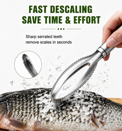 2-Pack Large Fish Scraper, 304 Stainless Steel Fish Scaler, Non-Slip Handle