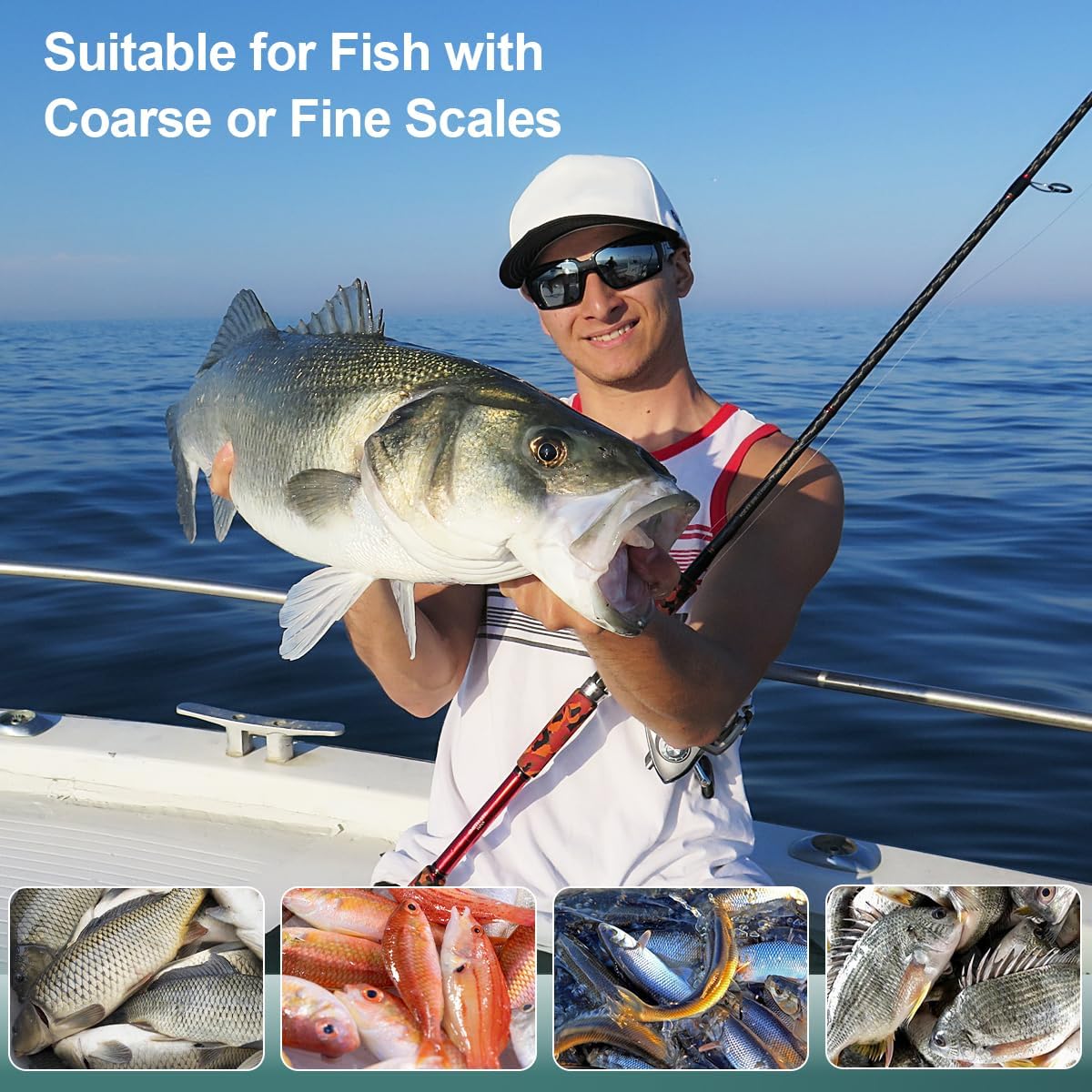 SUCCFLY Stainless Steel Fish Scaler, Wedge Sawtooth Fish Descaler Tool