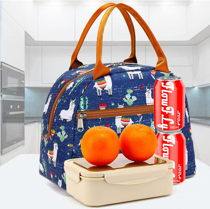 FlowFly Insulated Lunch Cooler Bag - Tote Bag Organizer for Women/Men, Black - Colors A