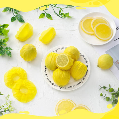 Lemon Cover for Squeezing, Lemon Seed Free Mesh Nets