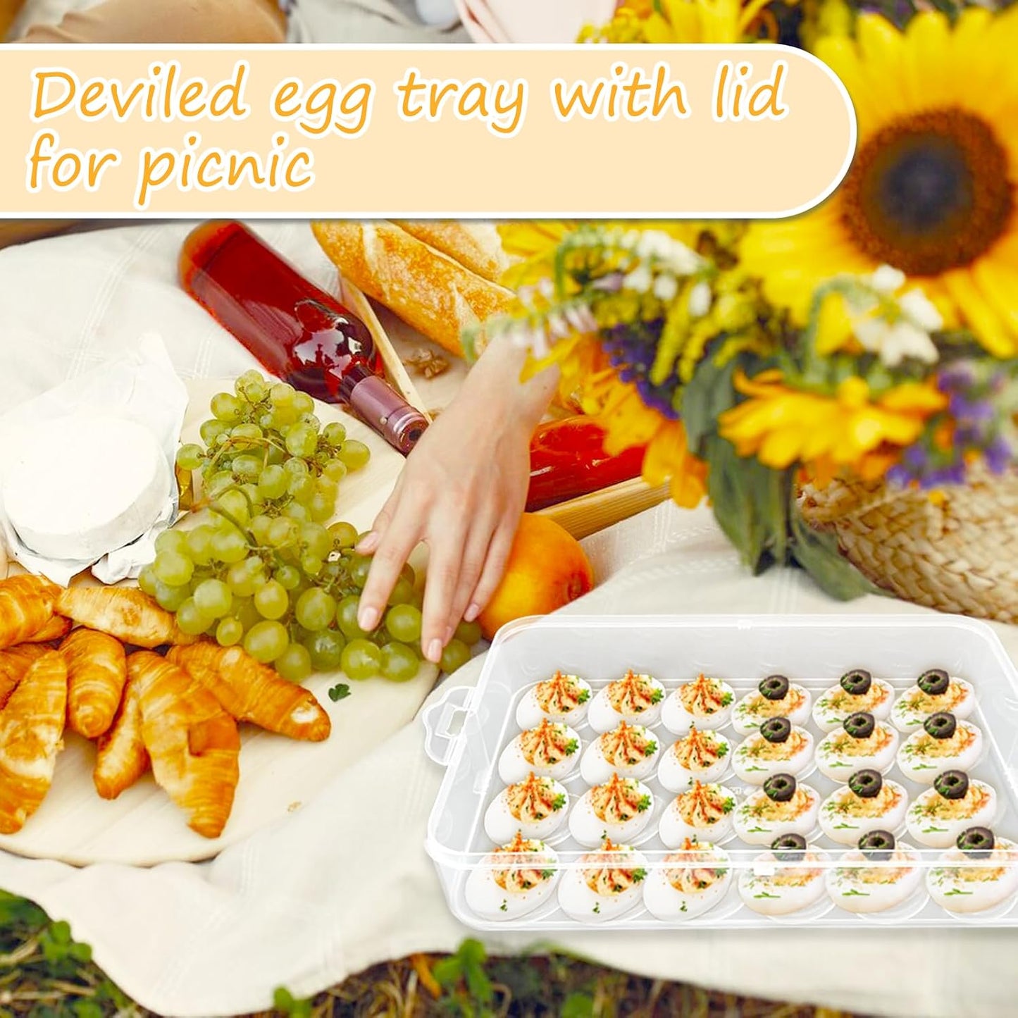 2-Layer Deviled Egg Carrier with Lid,Deviled Egg Trays with Handle,Stack Portable Stackable Trays,Clear Devil Egg Cotainer 48 eggs Holders, for Thanksgiving Day, Easter, Holiday,Parties and Kitchen