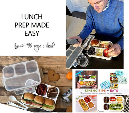 Bento Lunch Box for Kids or Adults, Snack Containers for Boys, Girls, School Daycare Work, 3 Divided Compartments Meal Planning Portion Control, BPA-Free Boxes, Utensils | Blue Purple 2 pack