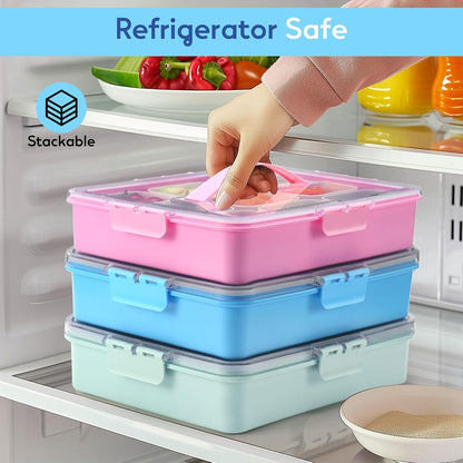 Snackle Box Container for Adults with 9 Compartment, Divided Serving Tray Snack Box Containers with Lid and Handle, Charcuterie Boxes Portable Snack Platter for Fruit Veggie Party Travel, White