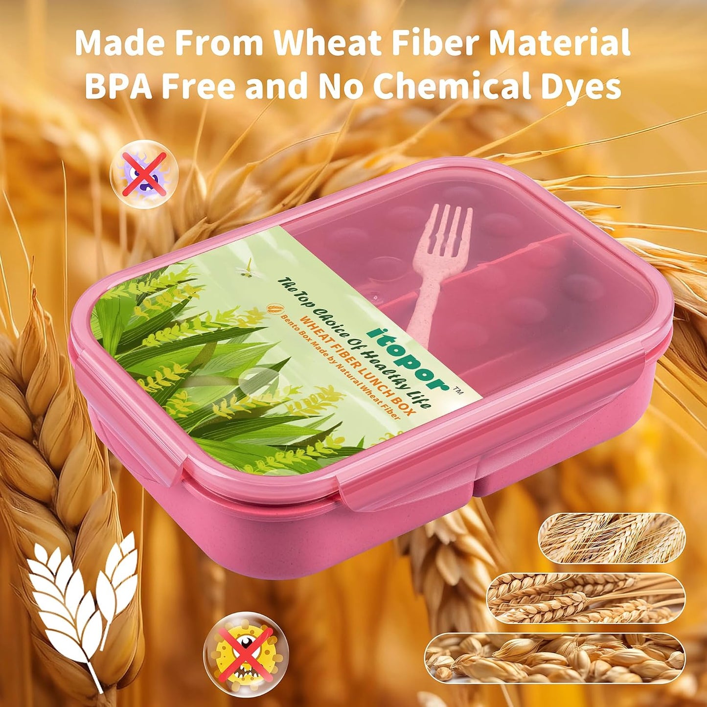 Itopor Classic Wheat Straw Bento Box, Leak-Proof 3-Compartment Lunch Box for Adults & Older Kids, BPA-Free Meal Prep Food Container with Fork, Microwave & Dishwasher Safe, 5.5 Cup, Sage Green
