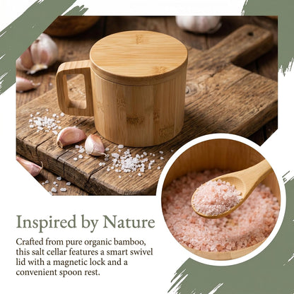 Bamboo Salt Cellar with Handle, 10oz Magnetic Swivel Lid & Spoon