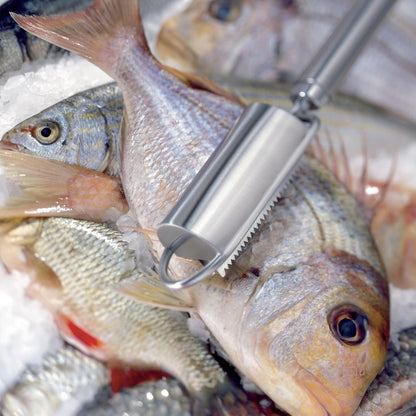 triangle Fish Scaler