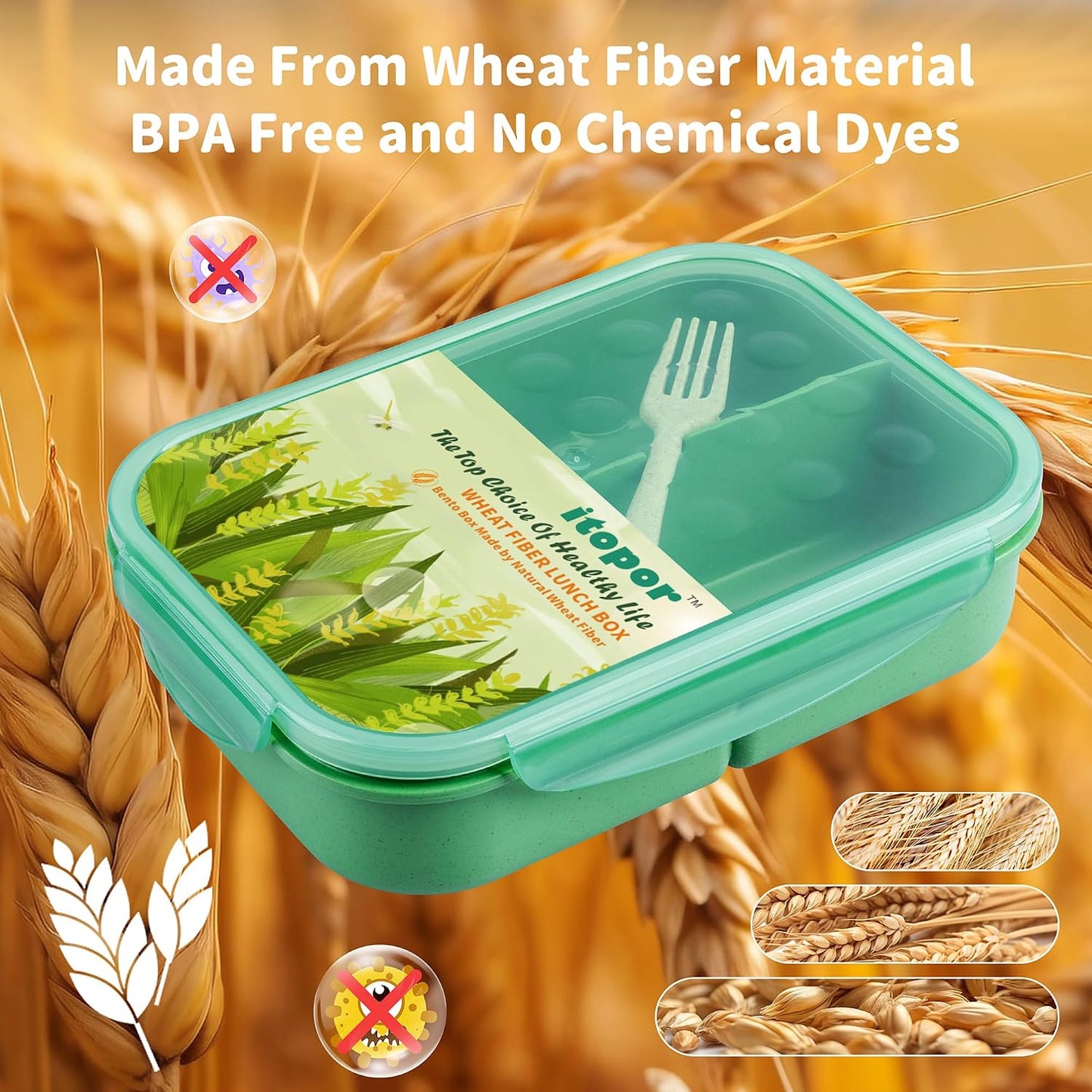 Itopor Classic Wheat Straw Bento Box, Leak-Proof 3-Compartment Lunch Box for Adults & Older Kids, BPA-Free Meal Prep Food Container with Fork, Microwave & Dishwasher Safe, 5.5 Cup, Sage Green