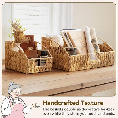 GRANNY SAYS Wicker Storage Baskets for Shelves, Trapezoid Woven Basket with Handles, Storage Wicker Baskets for Pantry, Water Hyacinth, 2-Pack
