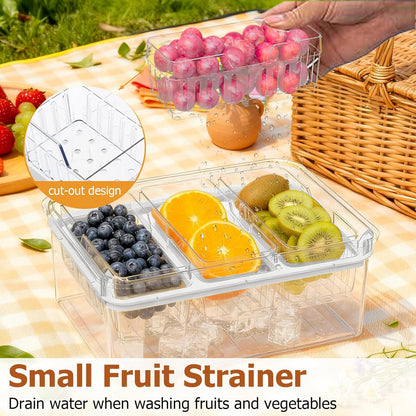 Sorgion Ice Chilled Condiment Caddy with Portable Handle, 3 Compartment Serving Tray with Ice Chamber, Clear Garnish Tray for Bar, Taco Party, BBQ, Picnic & Fruit White