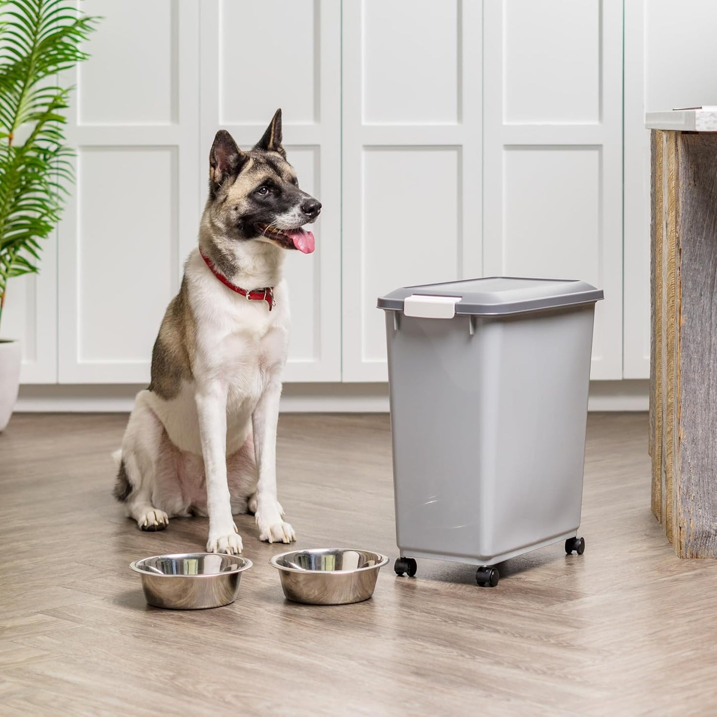 IRIS USA Dog Food Storage Container with Wheels, Airtight Lid, 2-Cup Scoop, Up to 30 Pounds Pet Food Storage, Built in Scoop Storage in Lid, Versatile Pet Food Bin, Portable, BPA Free, Gray/Dark Gray