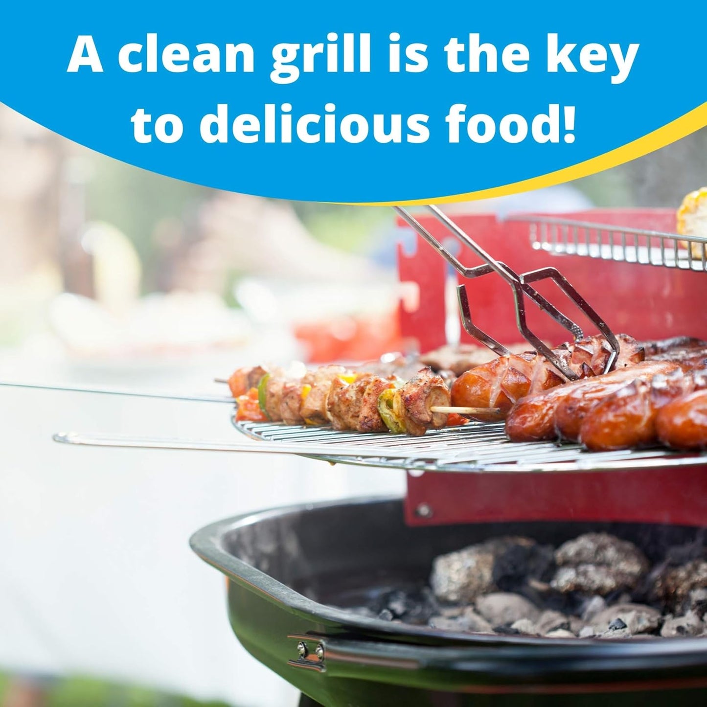 Carbona Oven Rack & Grill Cleaner | Eliminates Thick Grease & Build-Up | Griddle & BBQ Cleaning Solution | 16.8 Fl Oz, 2 Pack