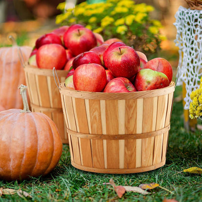 Marsui 6 Pcs Jumbo Half Bushel Baskets, 14 x 9.5 Inch Large Round Wooden Apple Basket with Handles Handcrafted Produce for Farmers Market Harvest Fruit Plants or Commercial Use