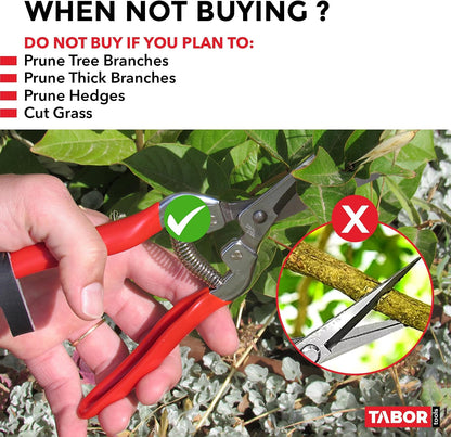 TABOR TOOLS K7A Pruning Snips – 7,5" – Carbon Steel Flower Pruning Scissors for Gardening | Floral Snips and Pruners for Deadheading, Trimming & Harvesting Herbs, Flowers, Fruits or Vegetables