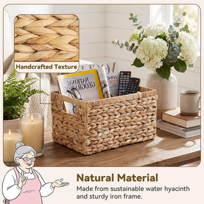 GRANNY SAYS Wicker Storage Baskets for Shelves, Water Hyacinth Basket with Scalloped Edge, Storage Wicker Baskets for Pantry, Large, 2-Pack