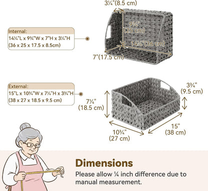 GRANNY SAYS Wicker Storage Baskets for Shelves, Trapezoid Woven Basket with Handles, Storage Wicker Baskets for Pantry, Water Hyacinth, 2-Pack