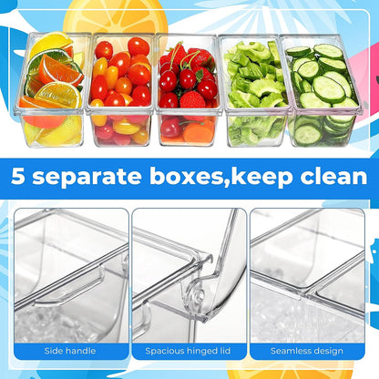 Condiment Containers Server with Lid,Ice Tray,Condiment Organizer,Chilled Caddy,Bar Garnish Holder on Ice,Dispenser,Salad Platter for Parties and Restaurants