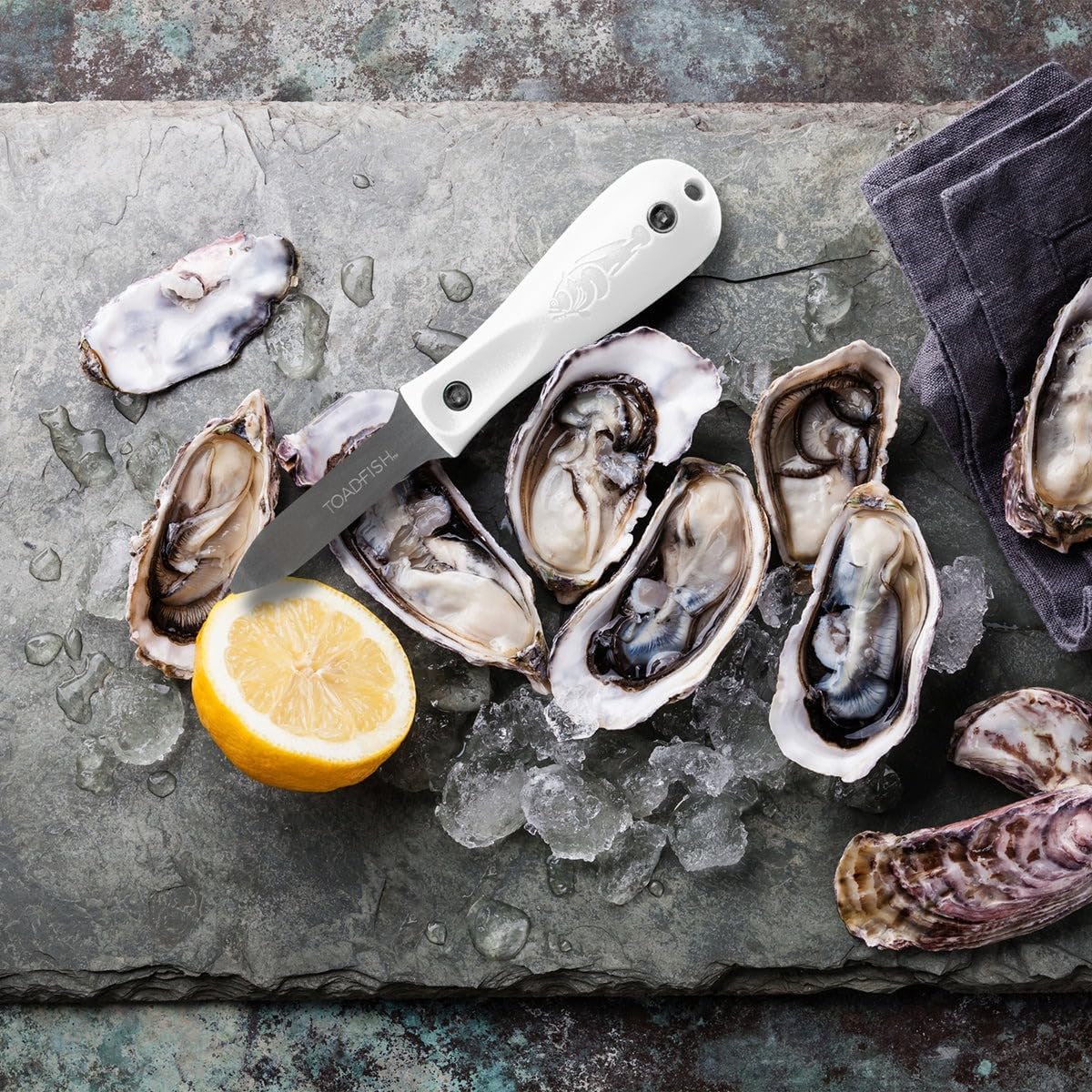 Toadfish Oyster Shucking Knife, Professional Stainless Steel Shucker Tool