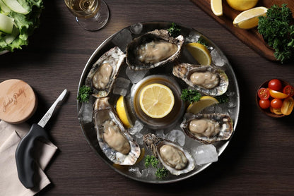 Zyliss Shucker Paddy Oyster Knife, Ergonomic Pistol Grip Oyster Shucking Knife with Finger Guard, 3in Stainless Steel Blade, Dishwasher Safe, Professional Oyster Opener