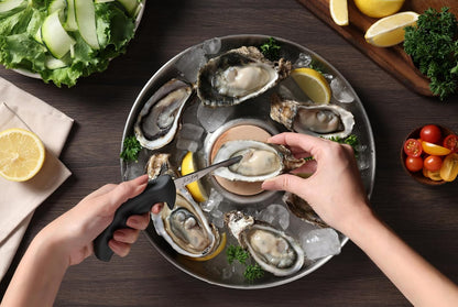 Zyliss Shucker Paddy Oyster Knife, Ergonomic Pistol Grip Oyster Shucking Knife with Finger Guard, 3in Stainless Steel Blade, Dishwasher Safe, Professional Oyster Opener