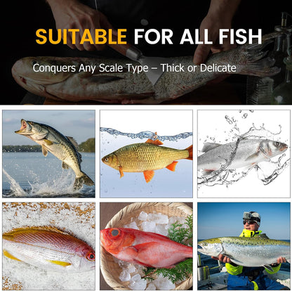 Fish Scaler Stainless Stee Fish Scale Remover Fish Descaler Fish Cleaner Fish Scraper Tool