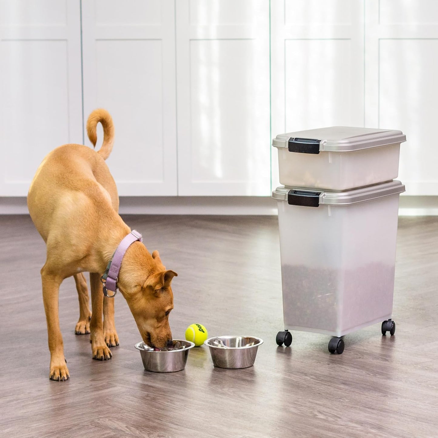 IRIS USA Dog Food Storage Container 30 lb + 11lb Airtight Combo, Stackable Pet Food Storage Bin with Wheels for Cat Dog Food, BPA Free, Made in USA, Black