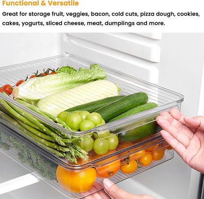 vacane 2 Pack Deli Meat Container for Fridge, Bacon Container with Lids for Refrigerator Fruit, Cold Cuts, Cheese Keeper Marinade Tray, Stackable Freezer Storage Containers