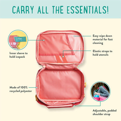 PlanetBox Rover Stainless Steel Bento Box Style Lunch Box Kit for Kids with 5 Compartments – xxxx Edition includes Insulated Lunch Bag, Leakproof Food Containers and Matching Magnets