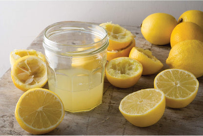 HIC Kitchen Citrus Juicer Reamer, Hardwood