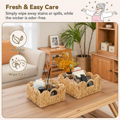 GRANNY SAYS Wicker Storage Baskets for Shelves, Water Hyacinth Basket with Scalloped Edge, Storage Wicker Baskets for Pantry, Large, 2-Pack