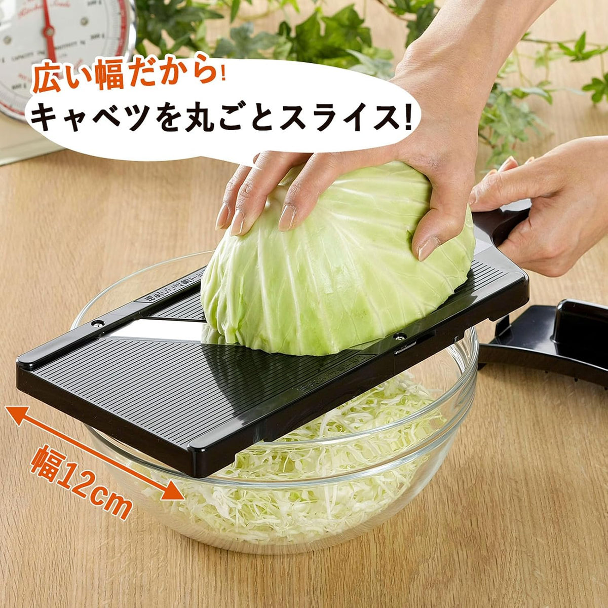 Shimomura Sales Tonkatsu Shop Tsubamesanjo 35950 Cabbage Slicer with Extra Fine Cut in Minutes, Made in Japan, Fluffy Julienne Slicer, 0.04 inch (1 mm) Wide, Sharp Sharpness, Whole Half Ball Slices