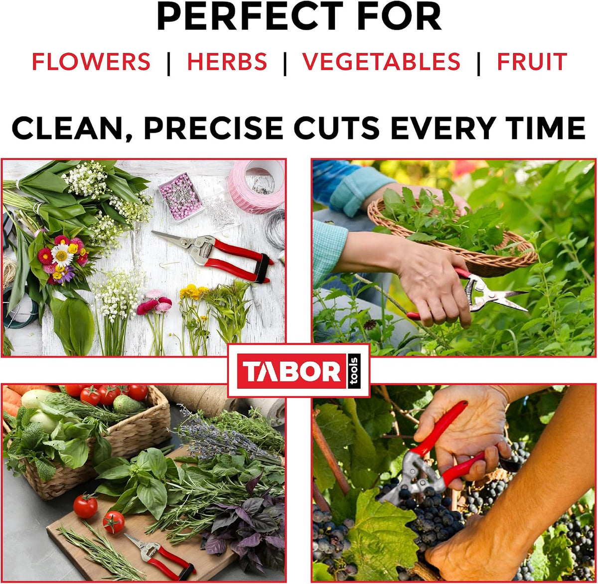 TABOR TOOLS K7A Pruning Snips – 7,5" – Carbon Steel Flower Pruning Scissors for Gardening | Floral Snips and Pruners for Deadheading, Trimming & Harvesting Herbs, Flowers, Fruits or Vegetables