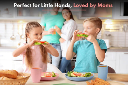 FOODLE Wheat Straw Dinnerware Set - BPA Free & Safety Tested - Microwave & Dishwasher Safe Dishes - Perfect for Camping, Picnic, RV, Dorm - Plates, Cups and Bowls - Great for Kids & Adults - For 4