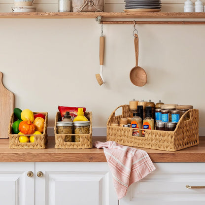 GRANNY SAYS Wicker Storage Baskets for Shelves, Trapezoid Woven Basket with Handles, Storage Wicker Baskets for Pantry, Water Hyacinth, 2-Pack