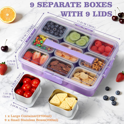 Snackle Box Container, Stainless Steel Snack Containers for Adults, 9 Compartments Divided Serving Tray with Lids and Handle, Portable Snack Platter for Parties, Grey