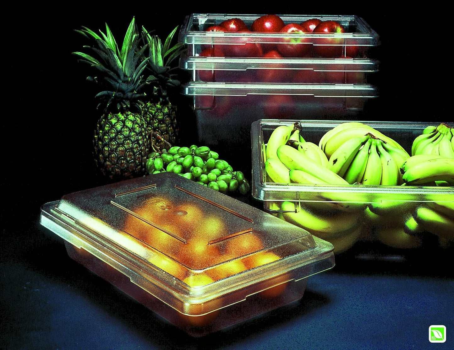 Rubbermaid Commercial Products Polycarbonate Food Storage Box/Tote, 2 Gallon, Clear, for Restaurant/Kitchen/Cafeteria