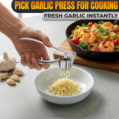 Metal Garlic Press with Comfortable Ergonomic Handle, Silver