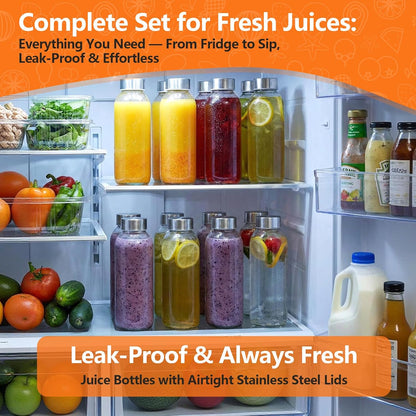 Glass Juice Bottles with Lids 10 oz, 6 Pack Reusable Small Glass Bottles with Stainless Steel Caps & Straws, BPA-Free Leak proof Juice Bottle Containers for Juicing, Milk, Smoothies & Fridge