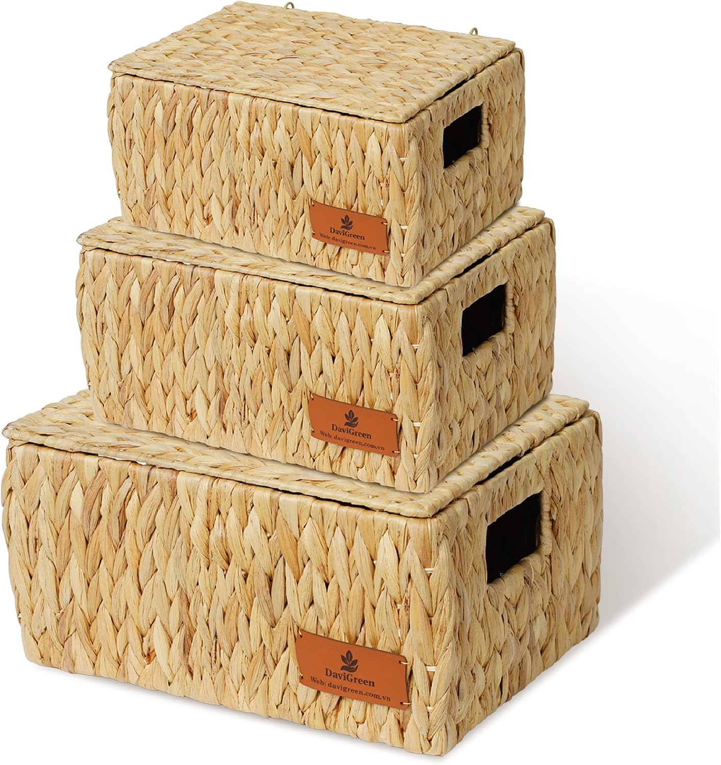 Storage Baskets for Shelves Set of 3, Open-Top Wicker Storage Bins with Handles, Shelf Organizer Baskets for Pantry, Closet & Bathroom, Water Hyacinth Baskets with Tissue Box Cover