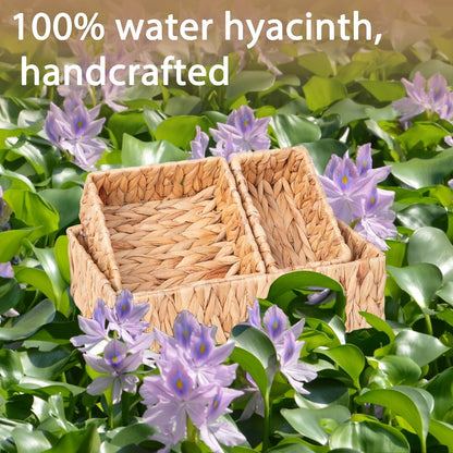Natural Water Hyacinth Wicker Baskets Set of 3, Handwoven Nesting Organizer | for Pantry Shelves Bathroom and Bedroom Organization to Hold Towels or Books