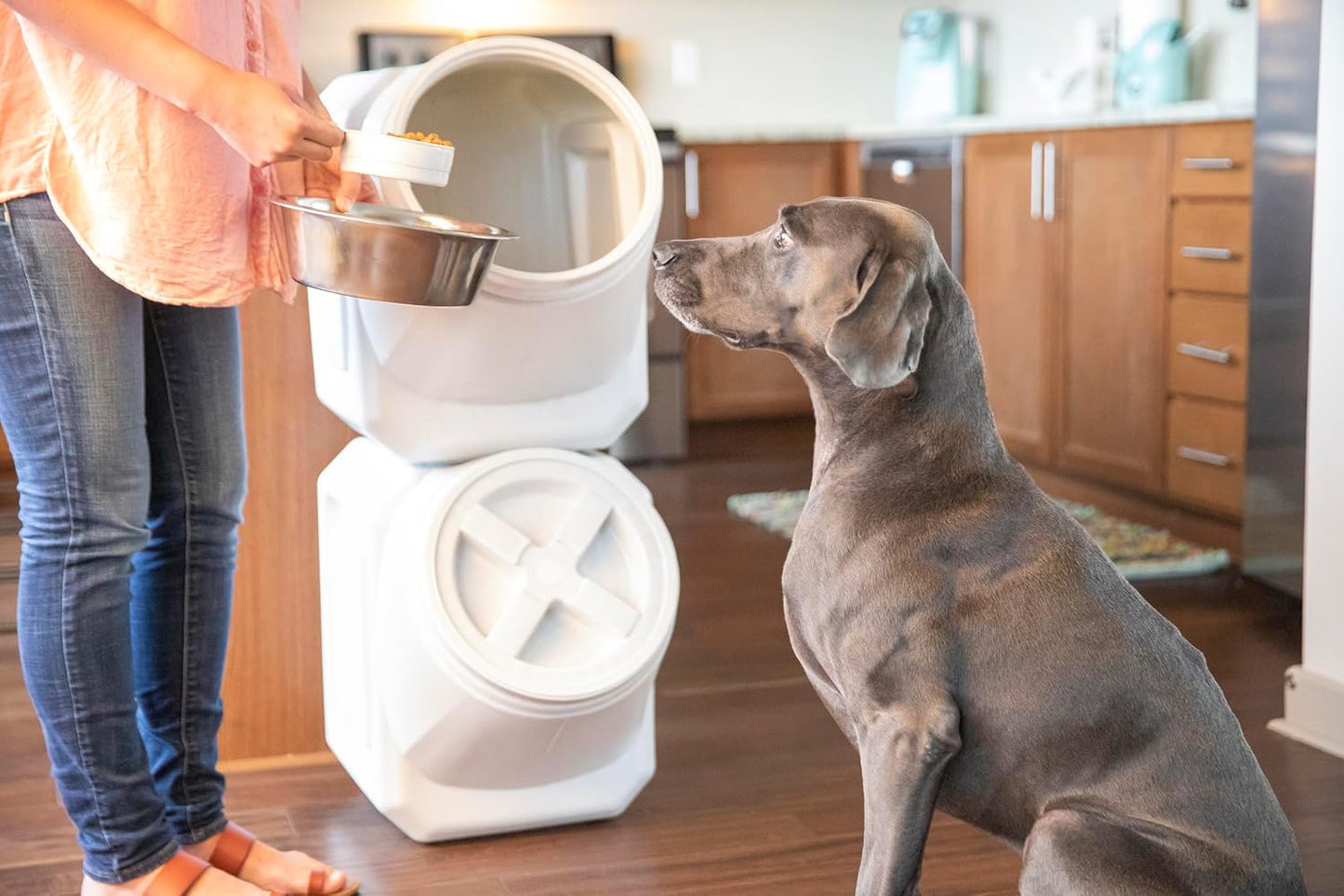 Vittles Vault Traditional Pet Food Storage Container For Dog Kibbles/Bird Seed/Oatmeal/Rice/Flour/Cereal, BPA Free Plastic, Sealed Airtight For Cat Food, Up To 30 lb, Made in USA, With Scoop, Gray